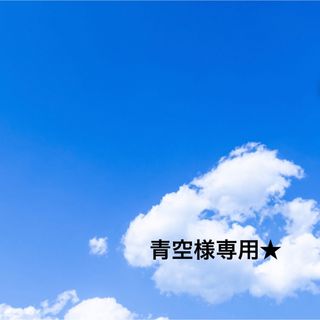 アイフォーン(iPhone)のiPhone13 ブルー　空箱　付属品(その他)