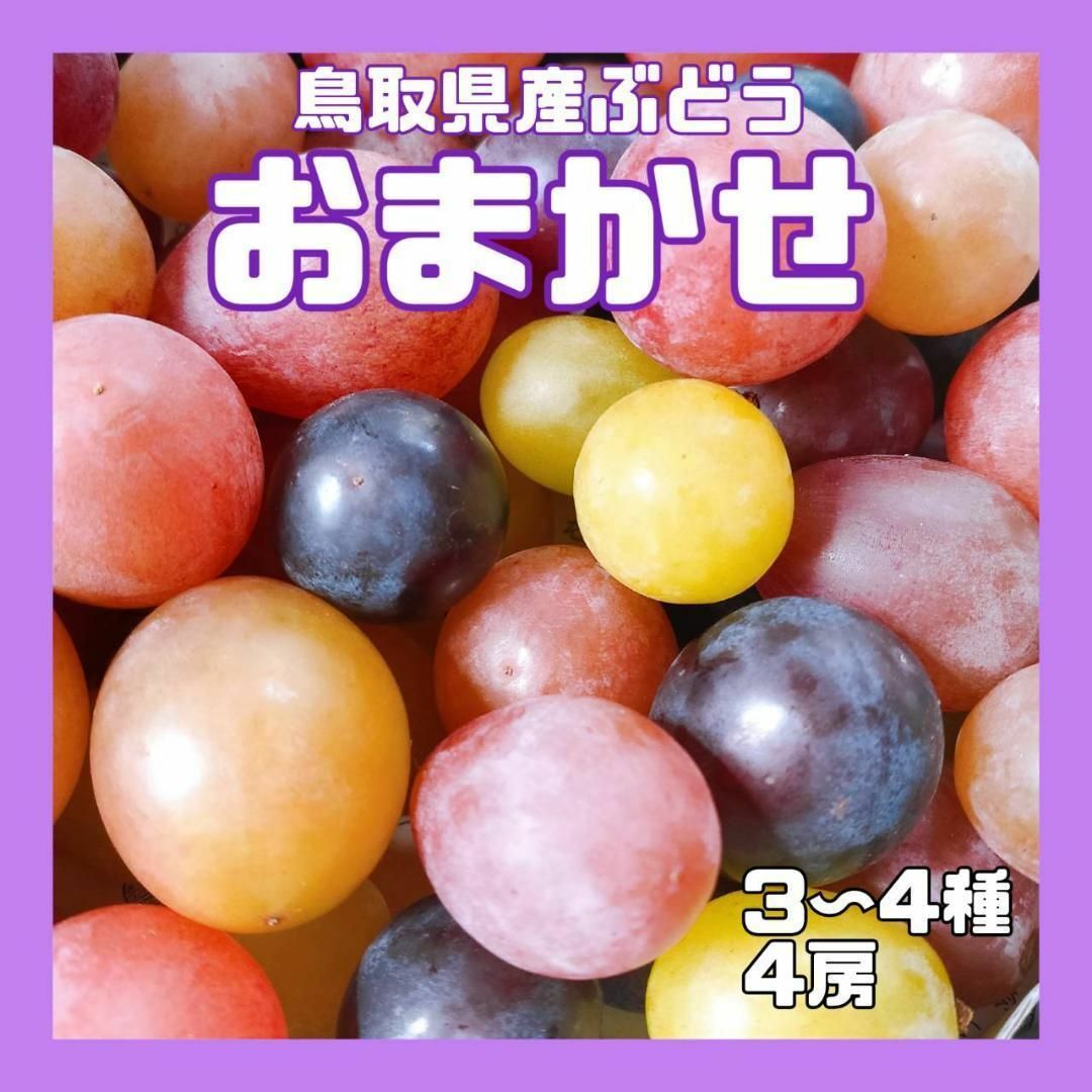 【クール便】おまかせ 4房 ぶどう 葡萄 ぶどう 糖度高め 贈答 進物 高妻4房配送方法