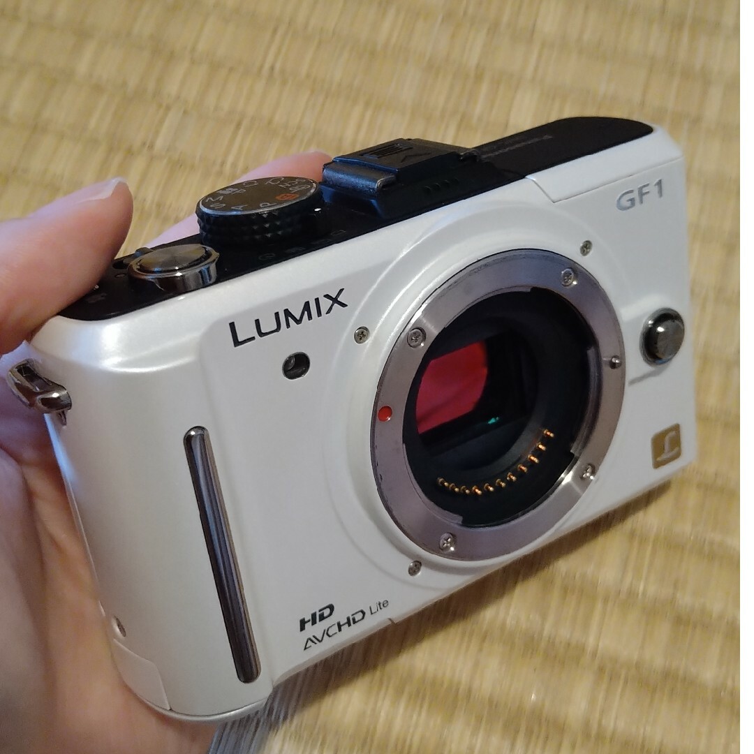 Panasonic  DMC-GF1 DMC-GF1C-W 2