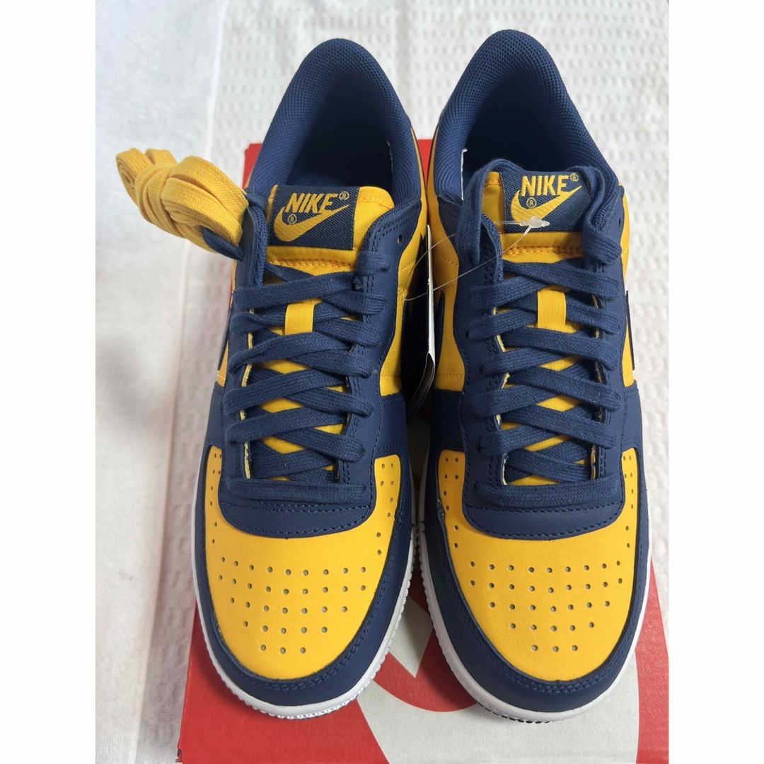 NIKE - ナイキ ターミネーター ロー ユニバーシティゴールド アンド