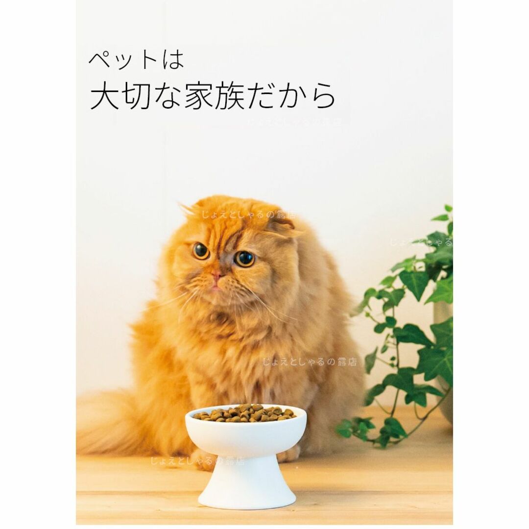 【3点】陶器製フードボウル 猫犬  ペット用食器 おやつ 餌入れ 水やり 餌皿 その他のペット用品(猫)の商品写真