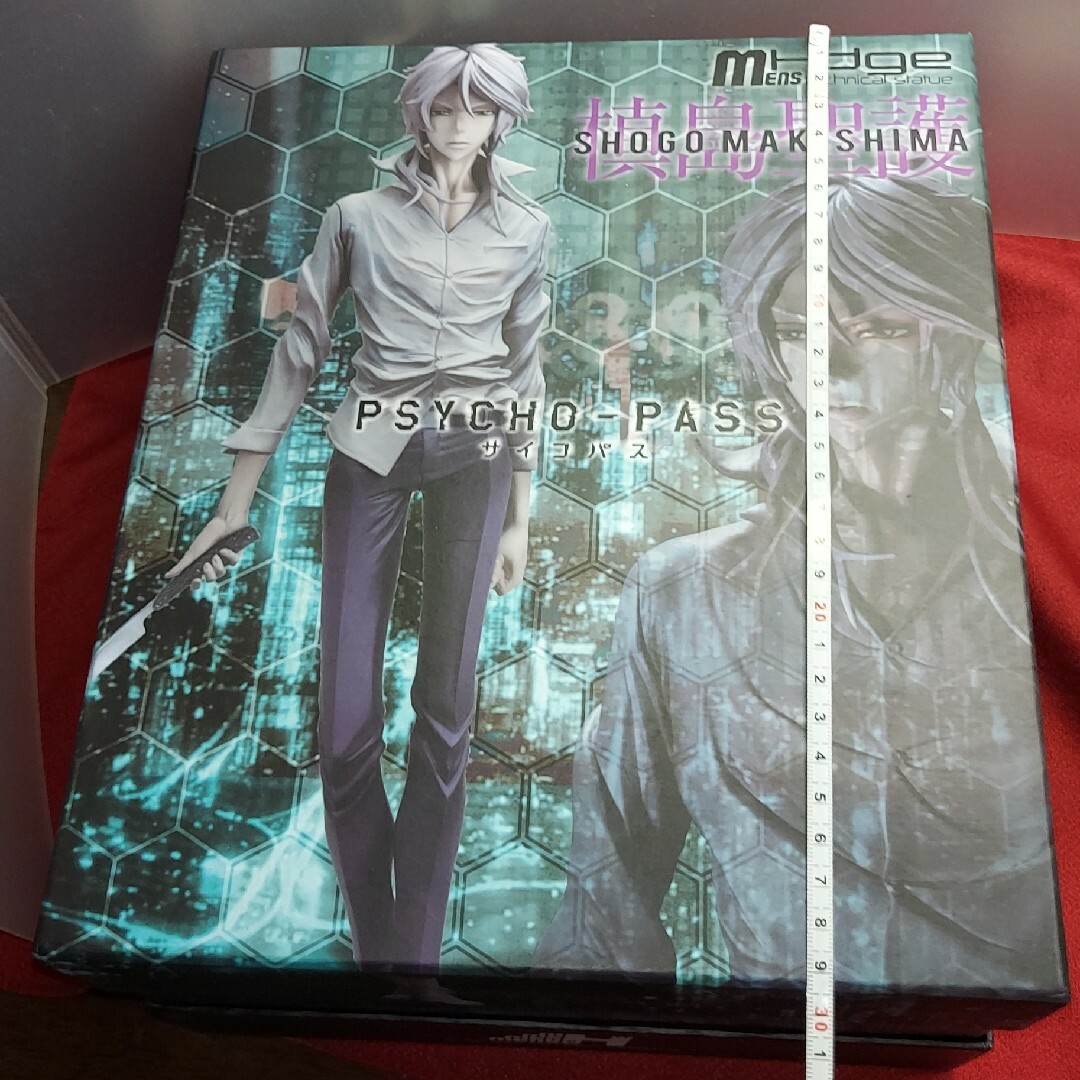 PSYCHO-PASS サイコパス 槙島聖護 完成品フィギュア