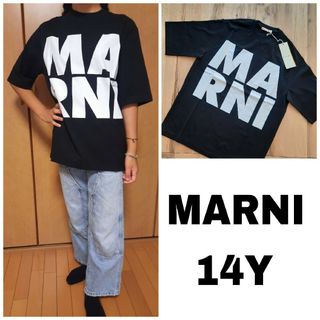 マルニ Tシャツ(レディース/半袖)の通販 300点以上 | Marniの