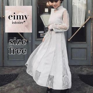 エイミーイストワール(eimy istoire)の美品✨ エイミーイストワール ストレッチ レース ワンピース ドレス(ロングワンピース/マキシワンピース)