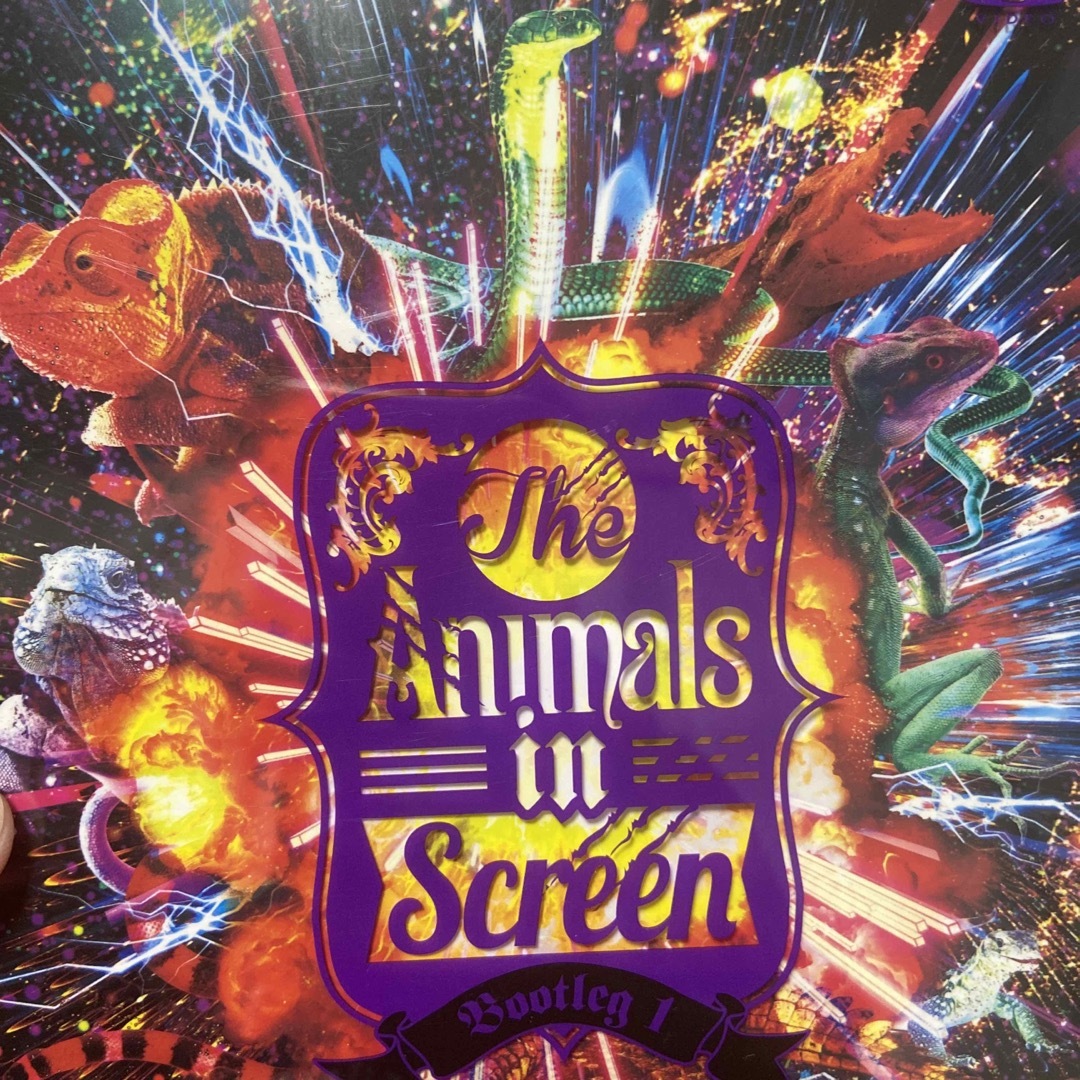 The　Animals　in　Screen　Bootleg　1 DVD | フリマアプリ ラクマ