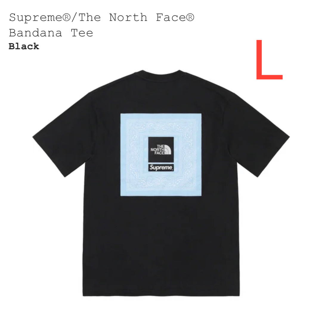 【黒L】Supreme / The North Face Bandana Tee