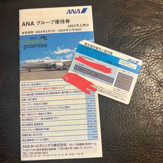 ANA 株主　割引(その他)