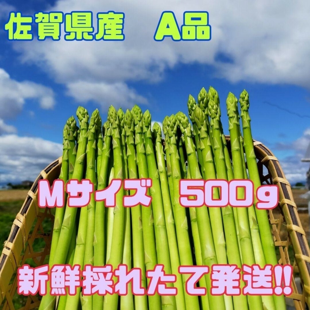 Мサイズ　グリーンアスパラガス500g 食品/飲料/酒の食品(野菜)の商品写真