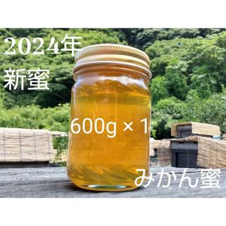 【非加熱、純粋はちみつ】希少蜂蜜 みかん蜜600g(その他)