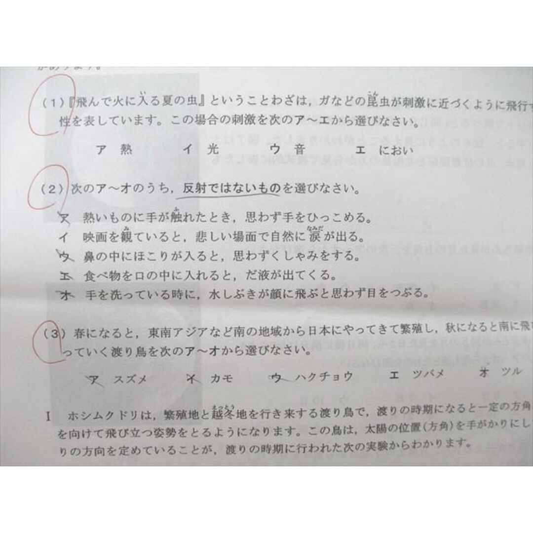 四天王寺中学校入学試験問題集2023年春受験用(実物に近いリアルな紙面のプリント形式過去問) (大阪府中学校過去入試問題集)