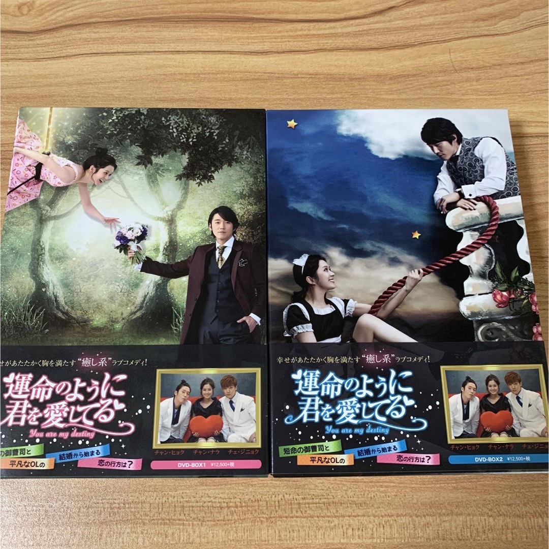 (チャン・ヒョク主演)運命のように君を愛してるDVD-BOX1＆BOX2セット