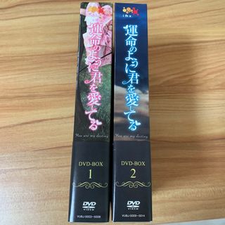 (チャン・ヒョク主演)運命のように君を愛してるDVD-BOX1＆BOX2セット