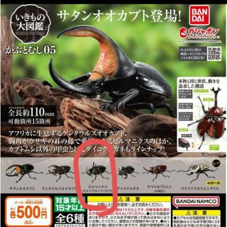 バンダイ(BANDAI)のいきもの大図鑑かぶとむし 05ビルマニクスビルマゴホンヅノカブトガチャ(その他)