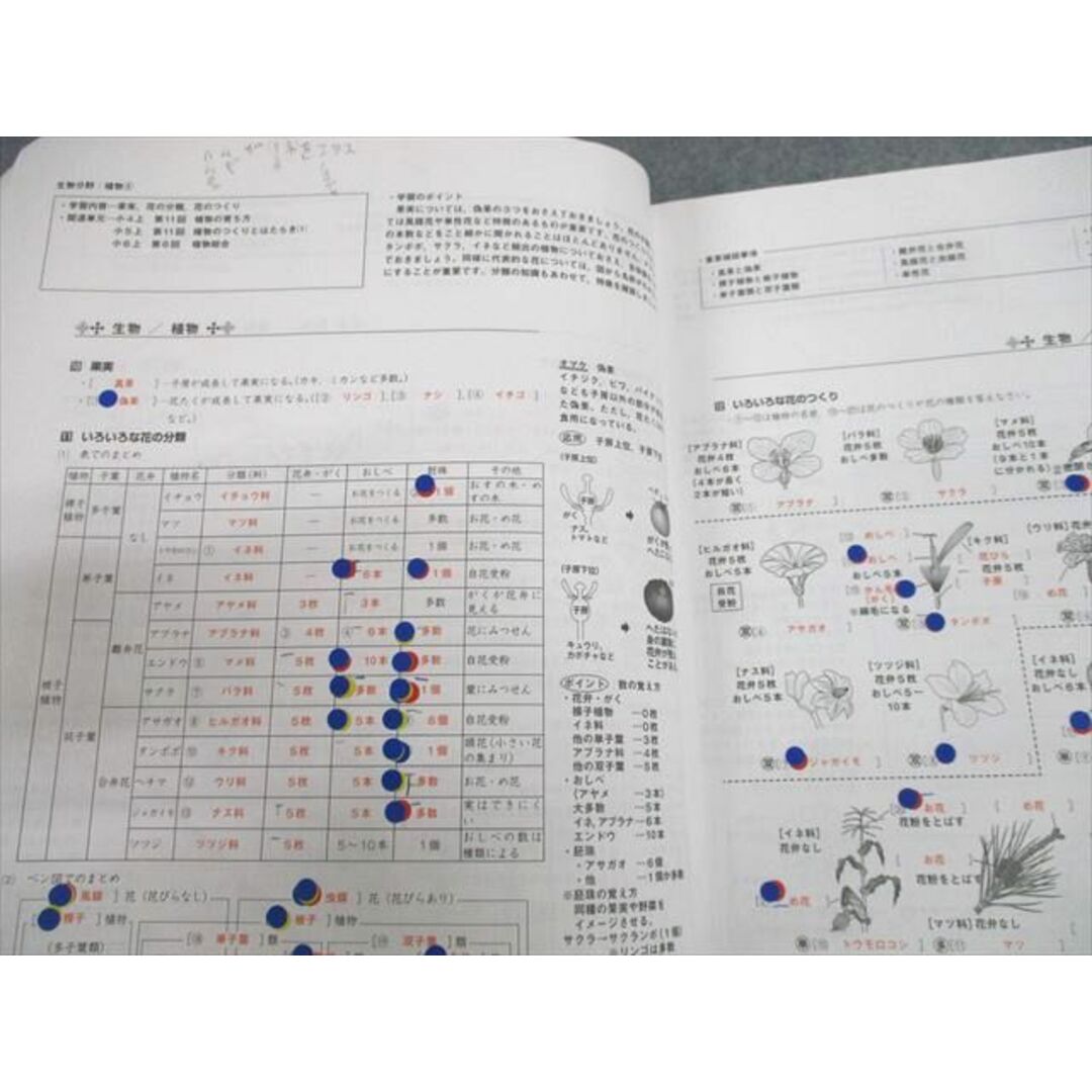 UJ12-095 早稲田アカデミー 小6 理科 マスターテキスト 知識/実戦/演習編S/A 2022 計10冊 77L2D