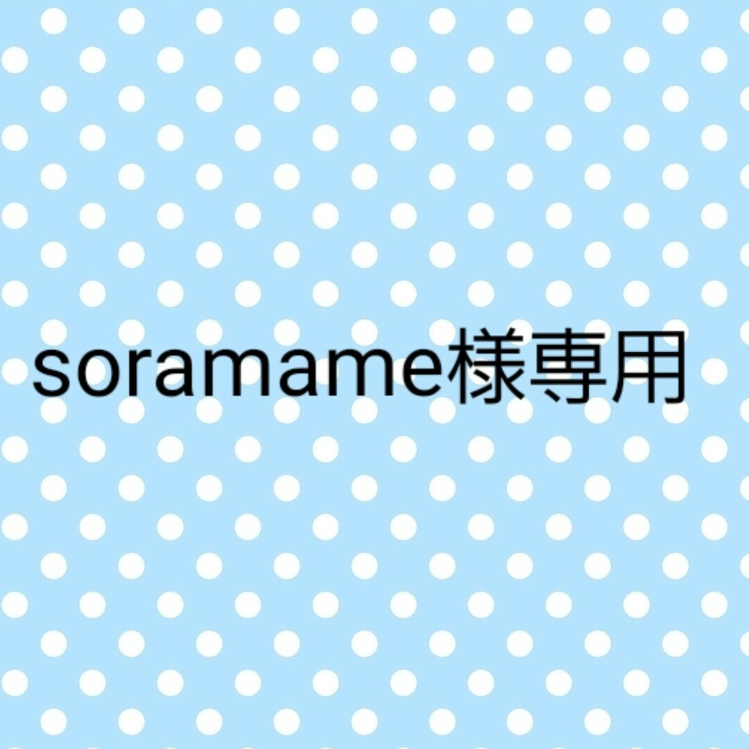 soramame様専用ページの通販 by 壱利's shop|ラクマ