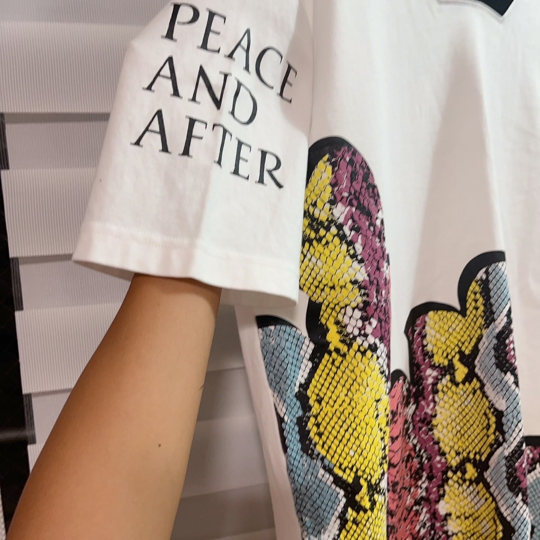 【美品♡】Peace and After 半袖　パイソン　刺繍　平　ロゴTシャツ メンズのトップス(Tシャツ/カットソー(半袖/袖なし))の商品写真