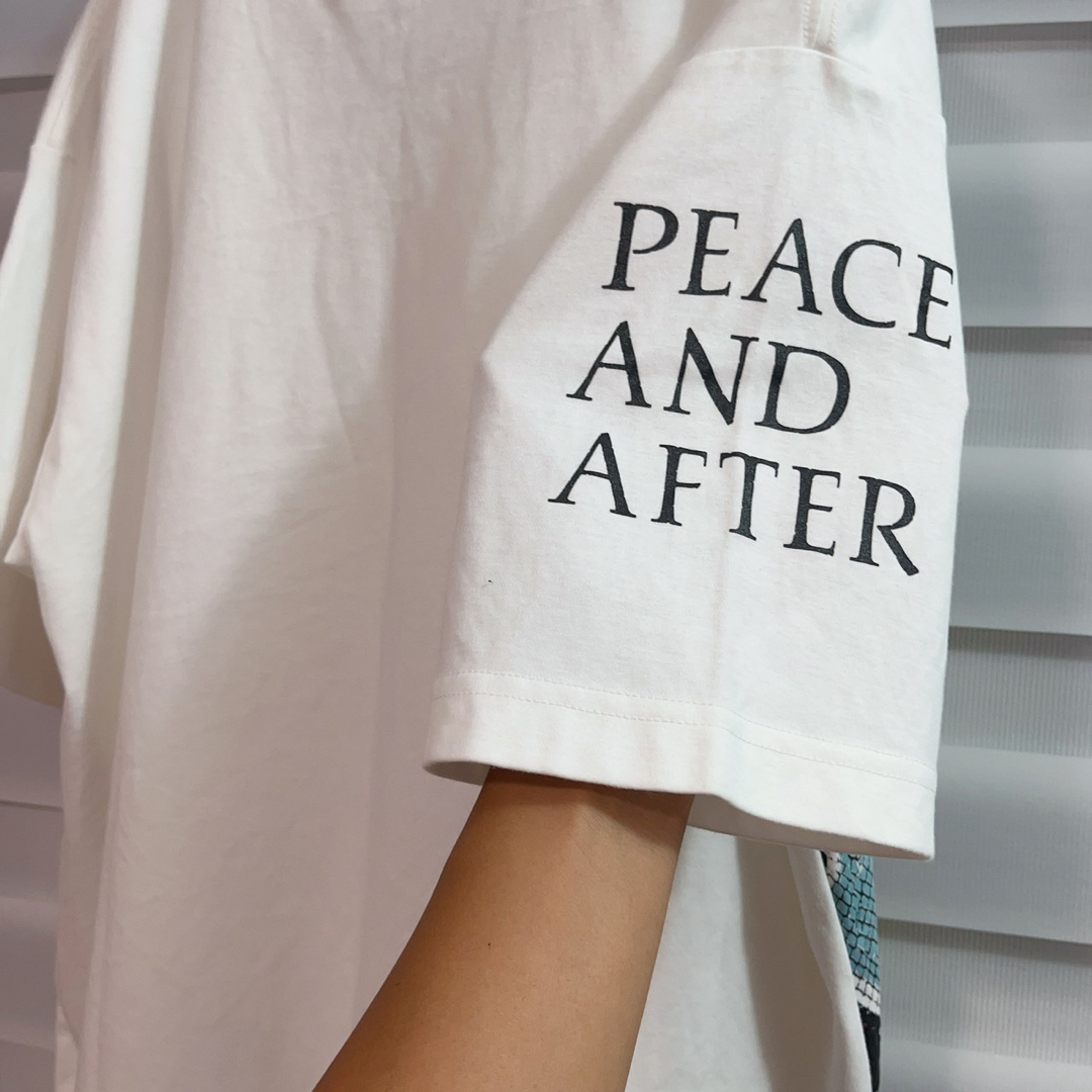 【美品♡】Peace and After 半袖　パイソン　刺繍　平　ロゴTシャツ メンズのトップス(Tシャツ/カットソー(半袖/袖なし))の商品写真