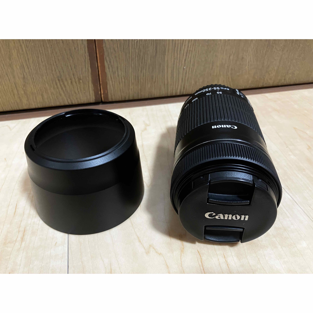 Canon EF-S 55-250mm F4-5.6 IS STM