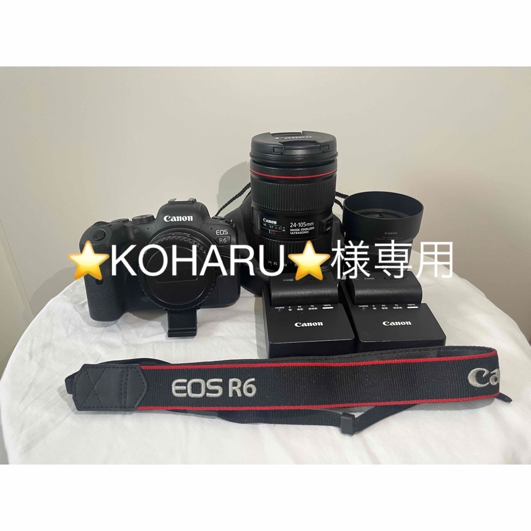 Canon EOS R6 レンズ2個セット