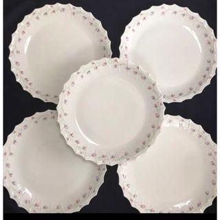 アビランド(Haviland)のフランス リモージュ  アンティーク 25cm 5枚セット(食器)