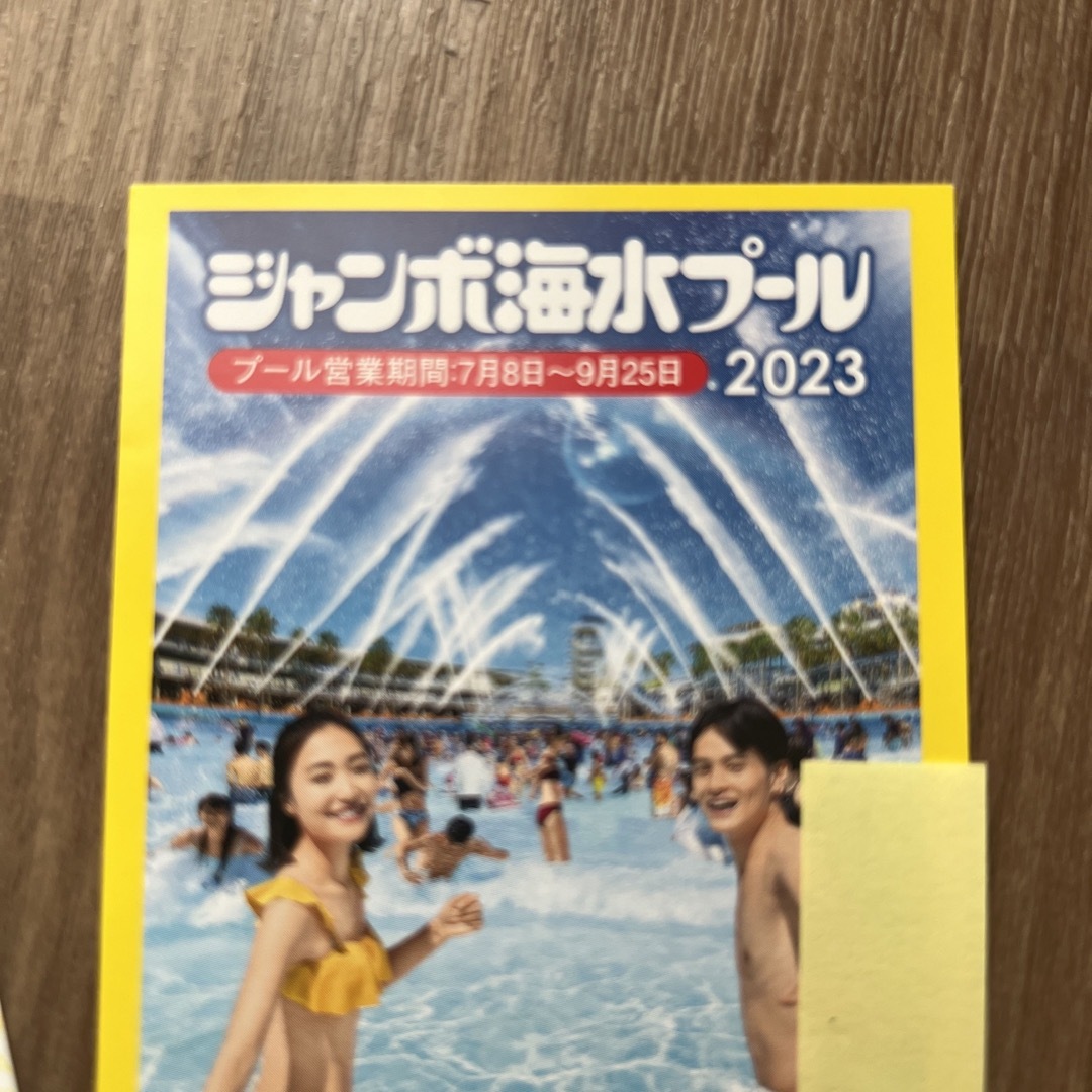 ペア長島ジャンボ海水プールチケットの通販 by KKR｜ラクマ