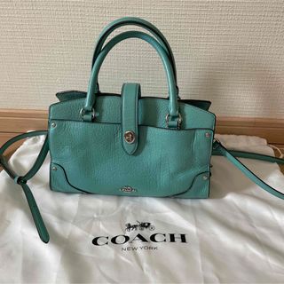 コーチ(COACH)のPluto様　専用　COACH バッグ(ハンドバッグ)