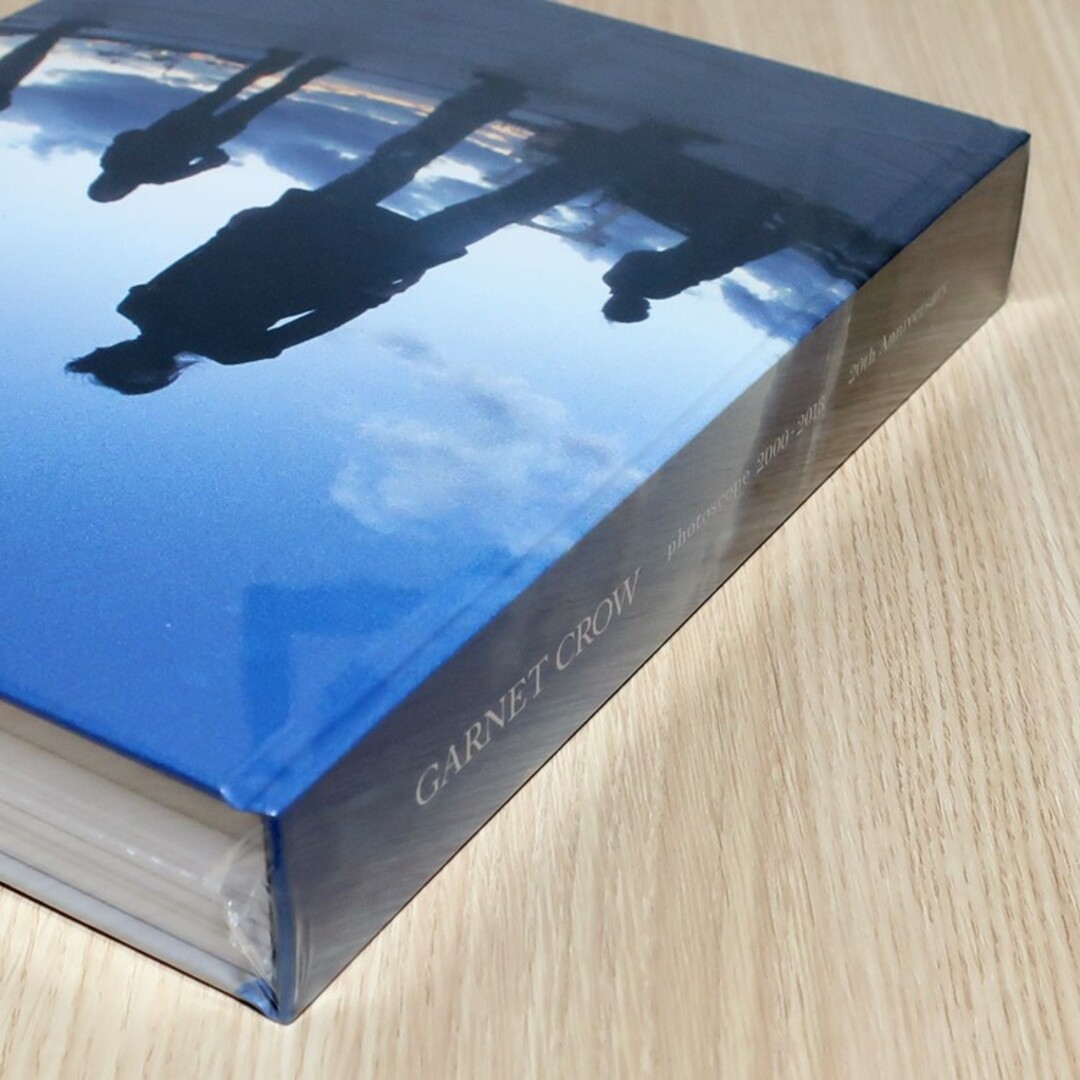 受注生産販売 GARNET CROW photoscope 2000-2013 - ミュージシャン