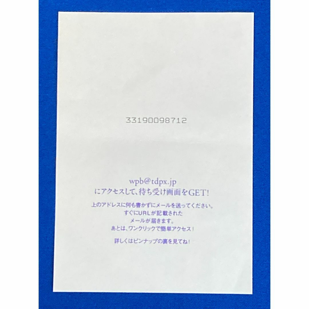 レア 仲根かすみ 生写真 週刊プレイボーイ付録 送料無料 エンタメ/ホビーのタレントグッズ(アイドルグッズ)の商品写真