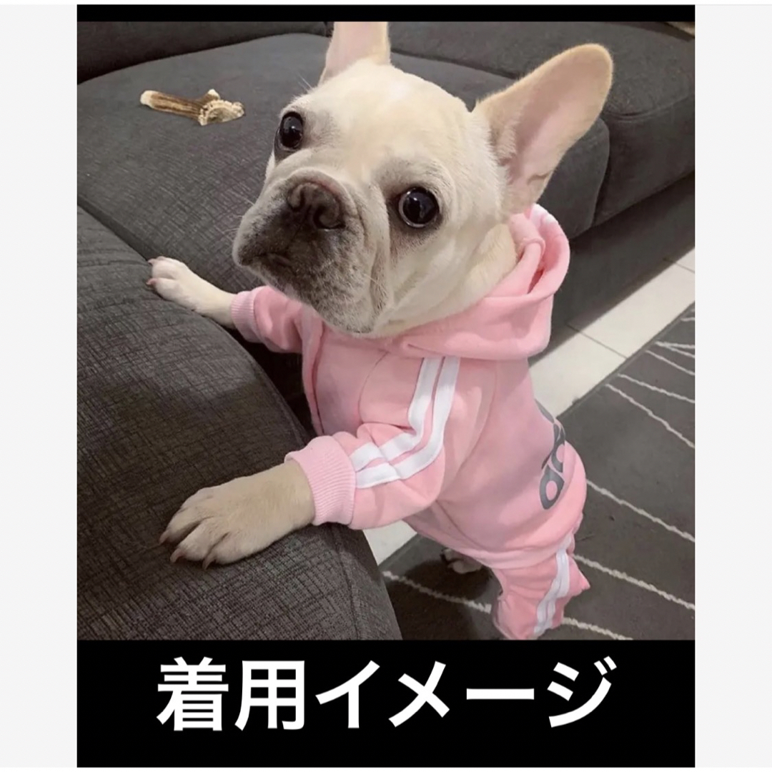 犬服　adidog ロゴ　サイズS ハンドメイドのペット(ペット服/アクセサリー)の商品写真