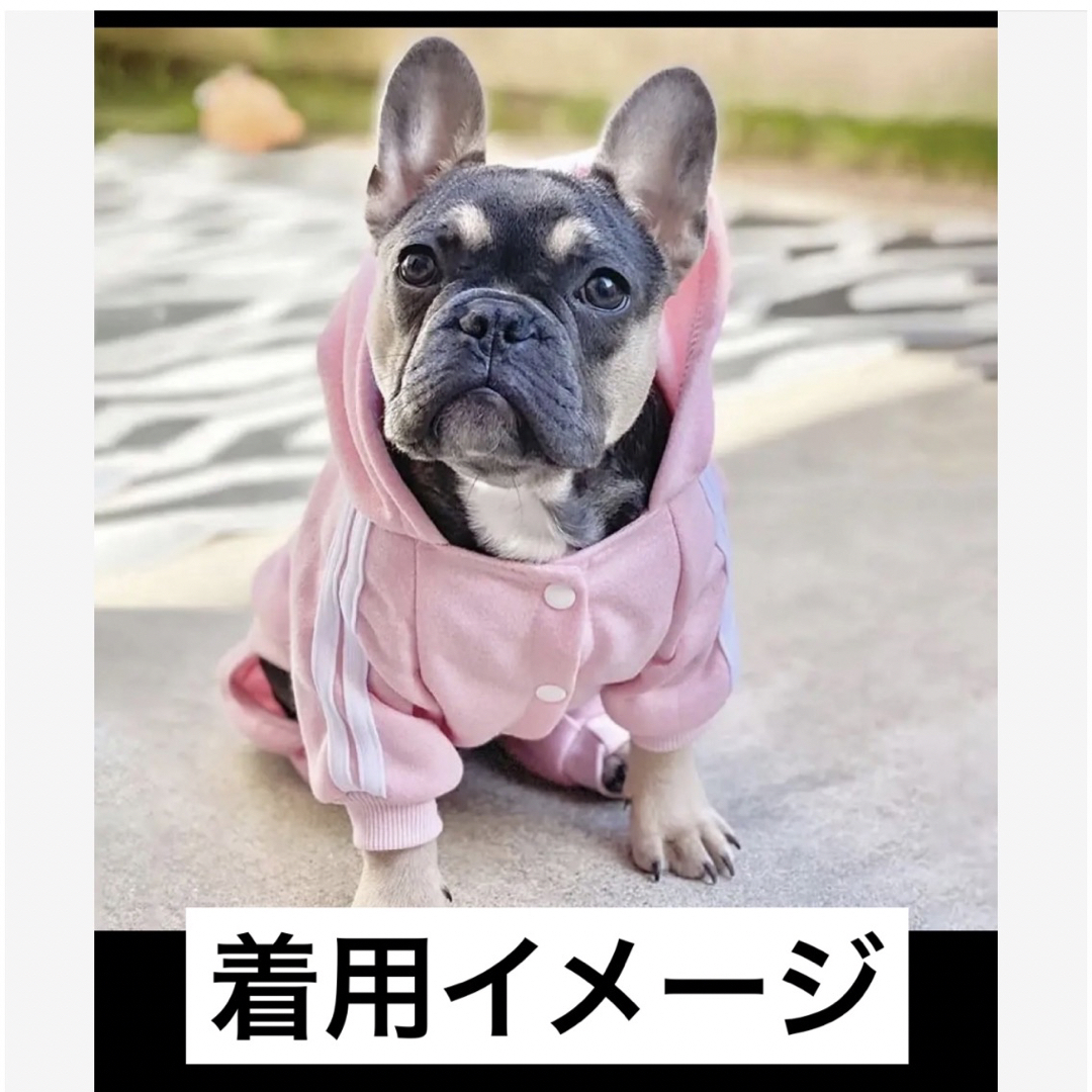 犬服　adidog ロゴ　サイズS ハンドメイドのペット(ペット服/アクセサリー)の商品写真