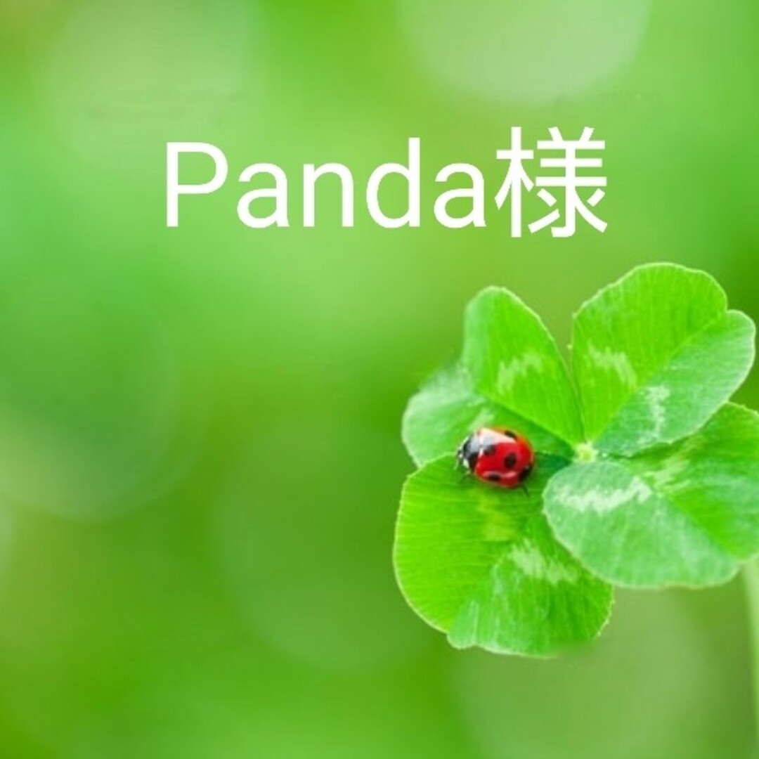 Panda様専用ページの通販 by じゅん's shop|ラクマ