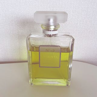 シャネル(CHANEL)のCHANEL シャネル N°19 プードレ オードゥ パルファム　100ml(香水(女性用))