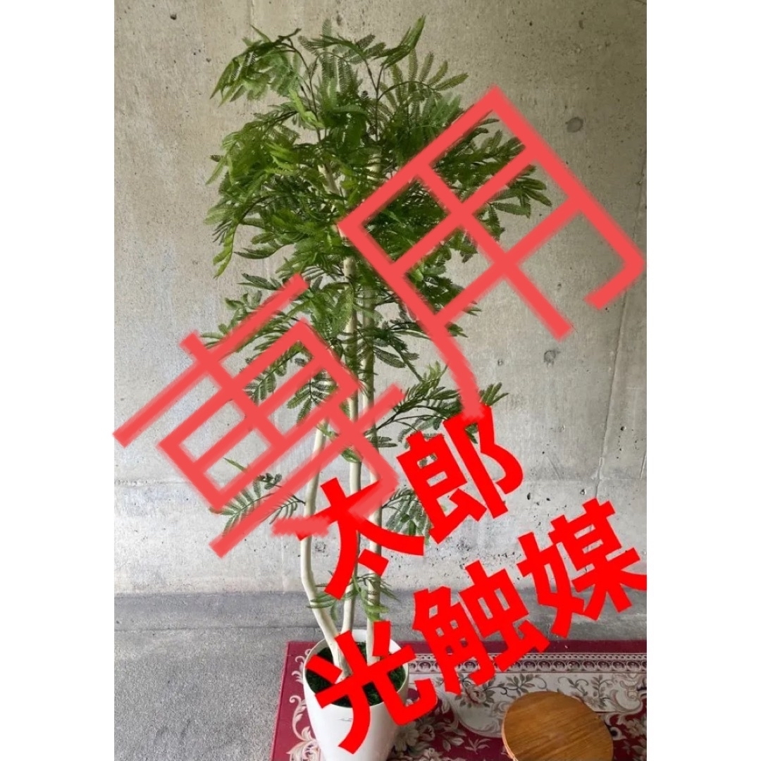 光触媒 人工観葉植物 ウォールグリーン フェイクグリーン 光触媒 人工観葉植物 ウォールグリーン フェイクグリーン