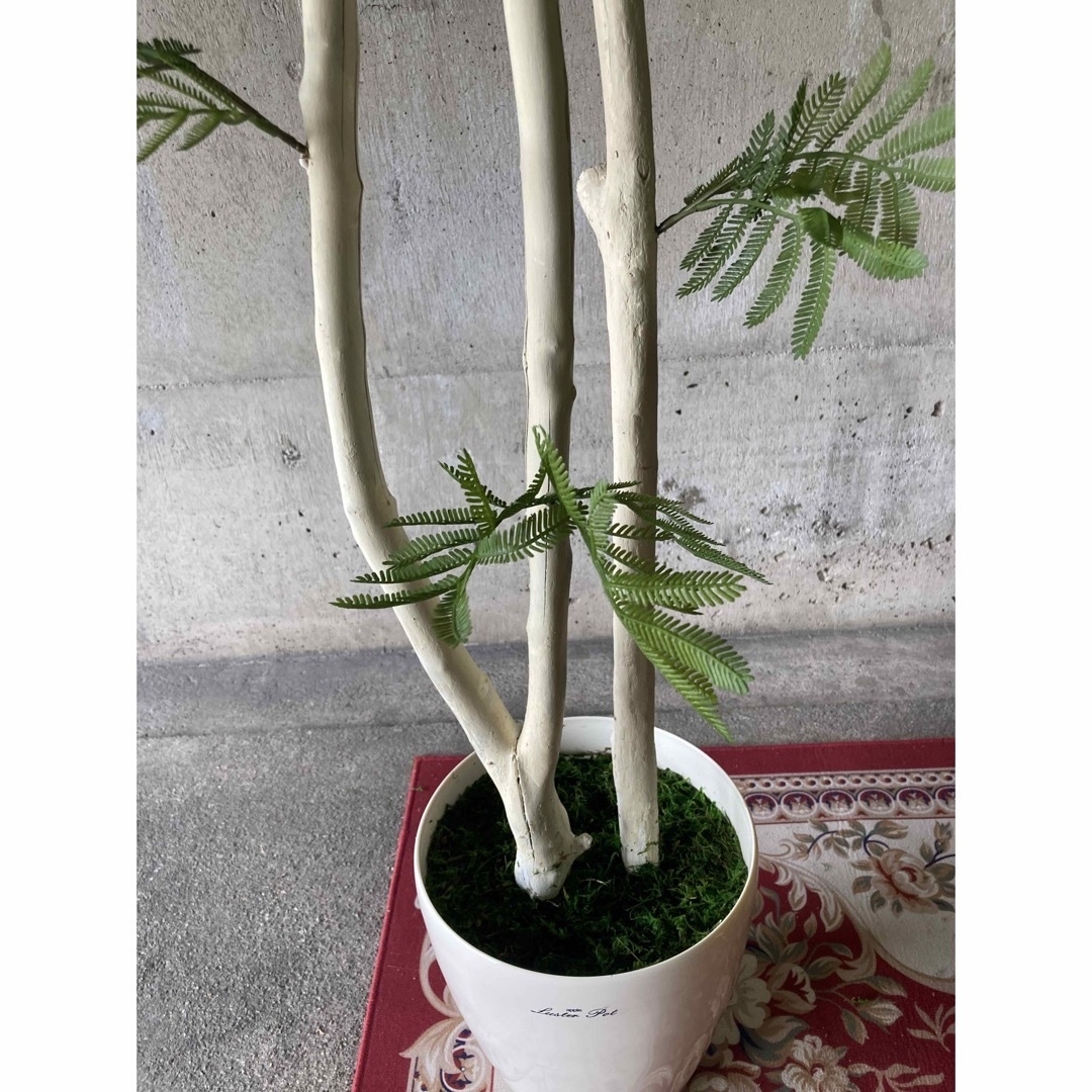 光触媒 人工観葉植物 ウォールグリーン フェイクグリーン 光触媒 人工観葉植物 ウォールグリーン フェイクグリーン
