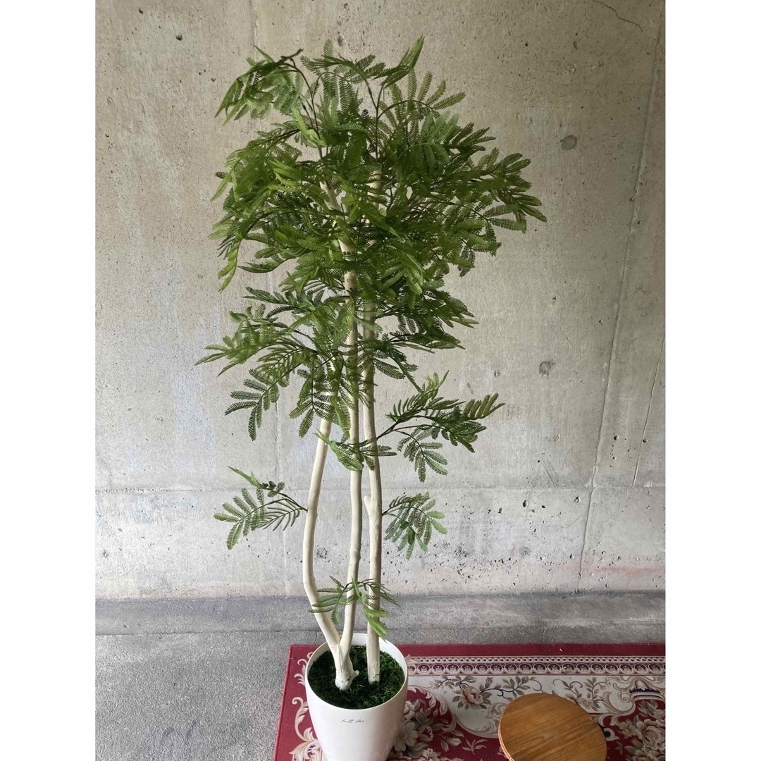 光触媒 人工観葉植物 ウォールグリーン フェイクグリーン 光触媒 人工観葉植物 ウォールグリーン フェイクグリーン