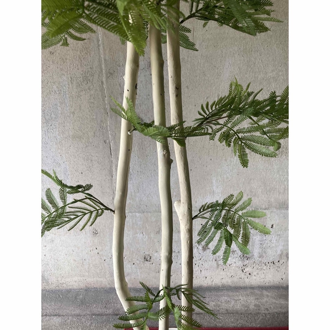 光触媒 人工観葉植物 ウォールグリーン フェイクグリーン 光触媒 人工観葉植物 ウォールグリーン フェイクグリーン