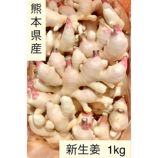 熊本県産　新生姜　1kg(野菜)