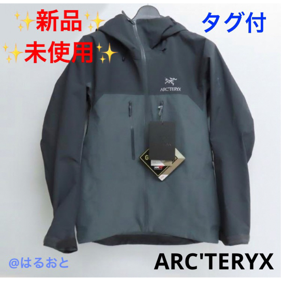 ARC'TERYX GORE-TEX PRO プロ Alpha ARジャケット