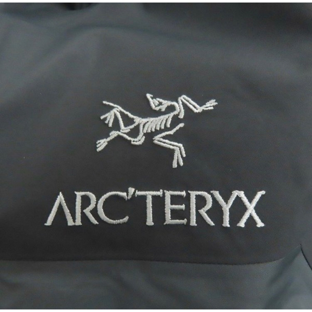 ARC'TERYX GORE-TEX PRO プロ Alpha ARジャケット