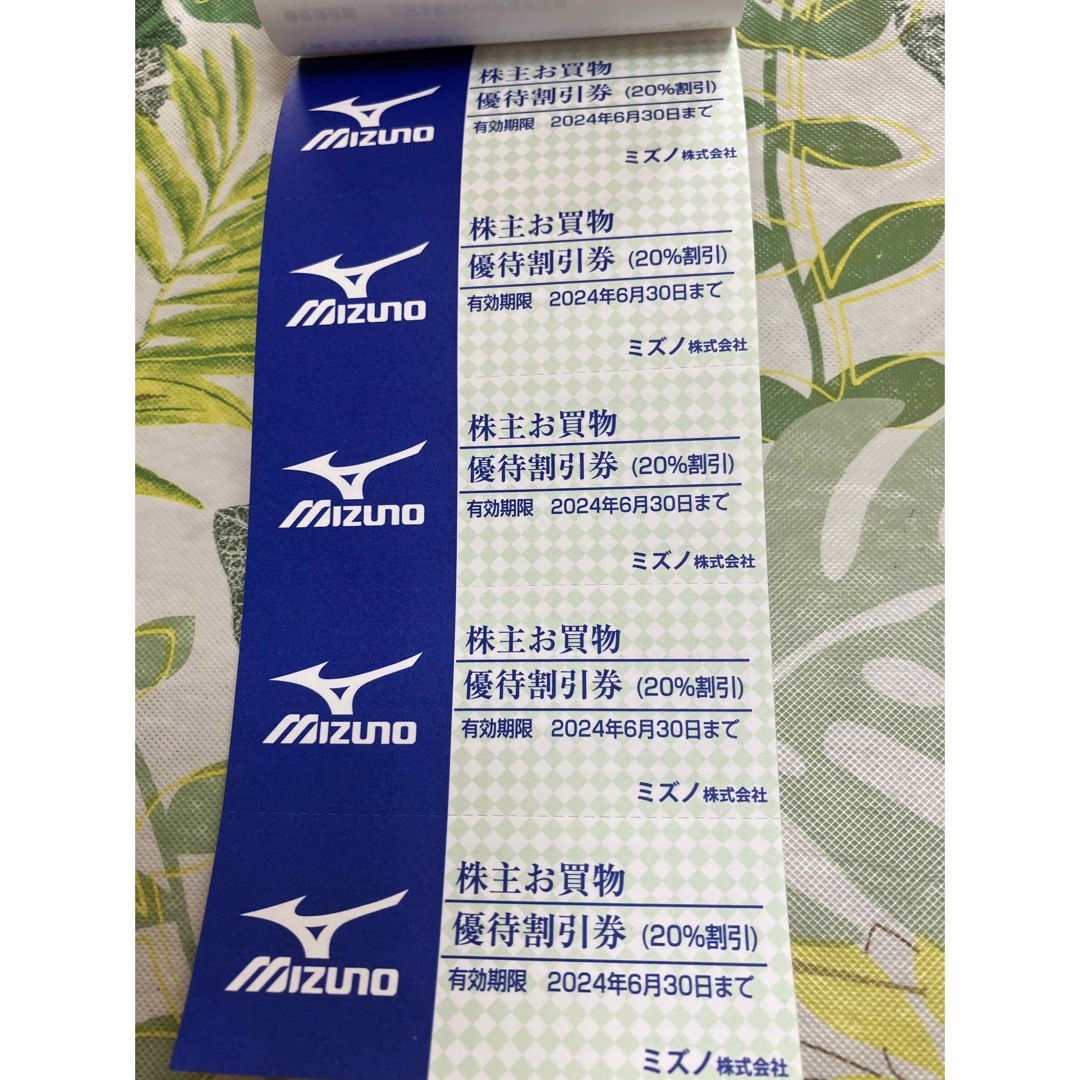 MIZUNO(ミズノ)の美津濃　株主優待 チケットのスポーツ(野球)の商品写真