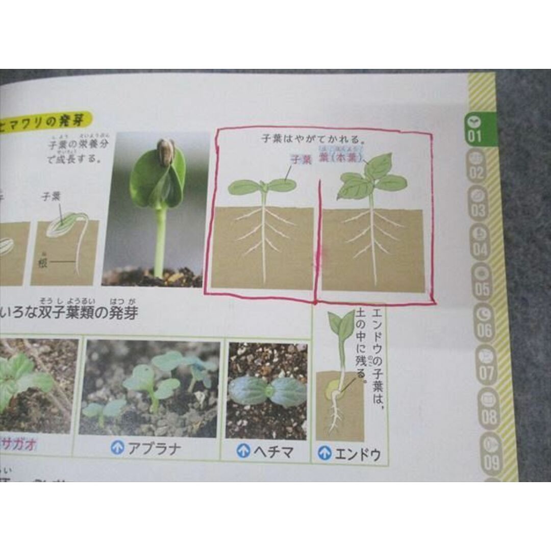 UE05-094 浜学園/受験研究社 ビジュアルサイエンス 2022 20m2D