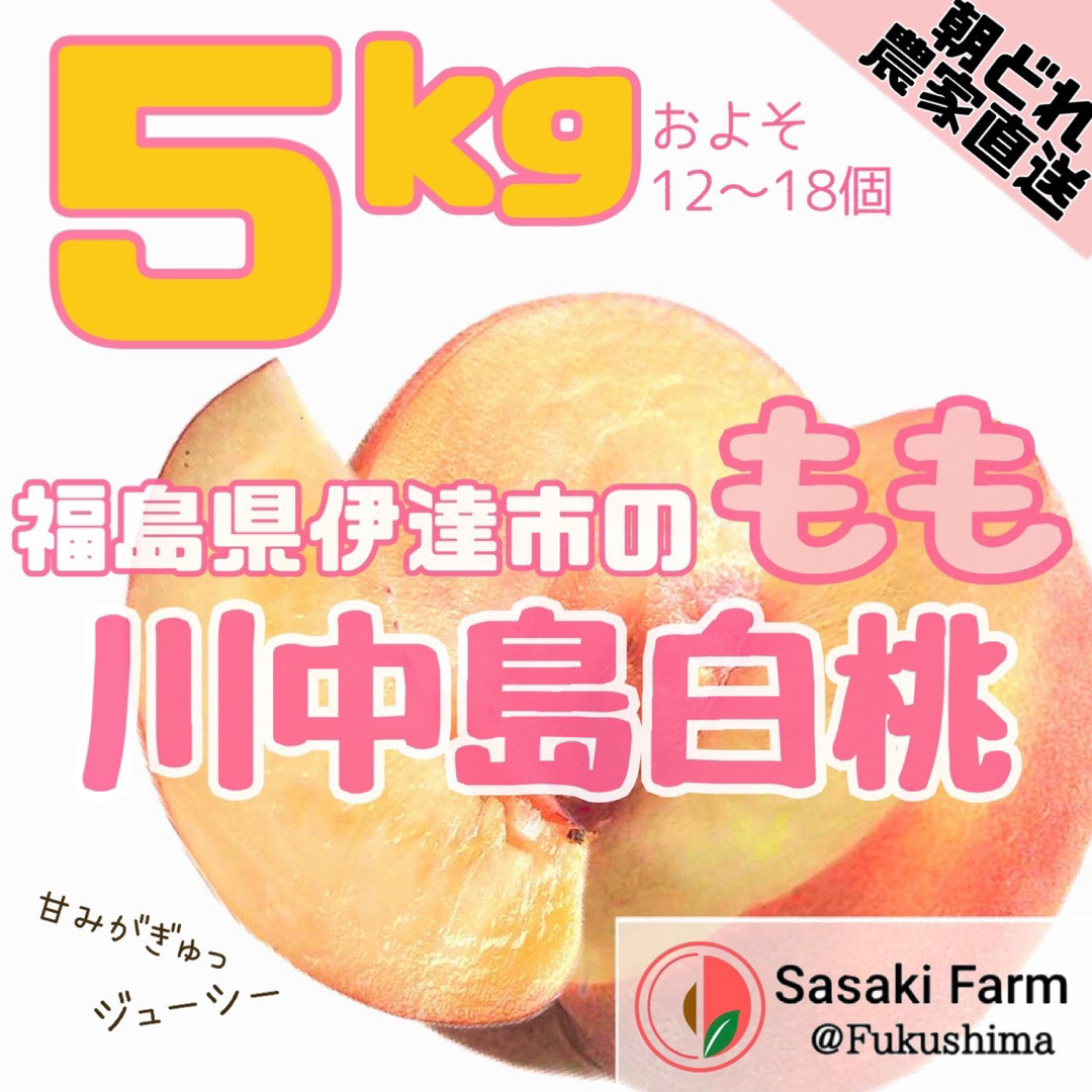 【本日限定!聖光勝利記念セール!】川中島桃 5kgセット 12-18pcs