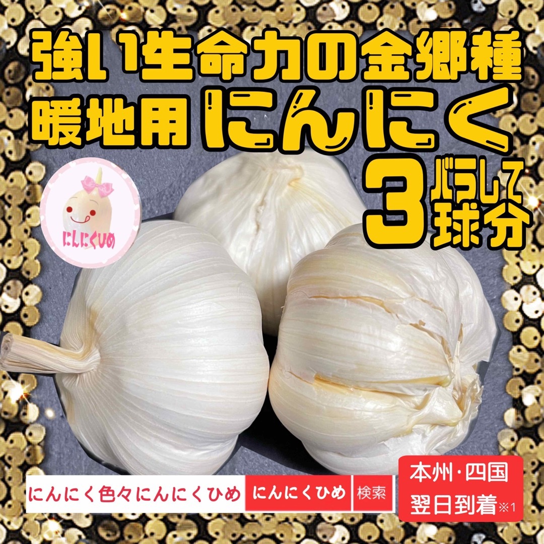 栗駒産ジャンボニンニク20kgその8 - 野菜