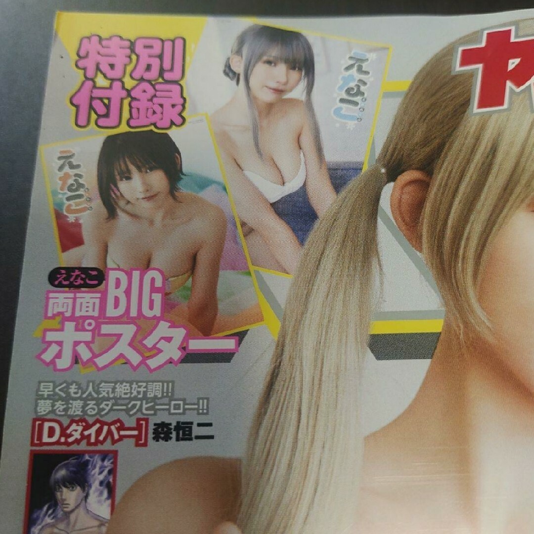 白泉社(ハクセンシャ)のえなこ  BIGポスター付   ヤングアニマル   16号   応募券無 エンタメ/ホビーの雑誌(アート/エンタメ/ホビー)の商品写真