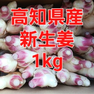 農家直送　高知県産新生姜　1kg(野菜)