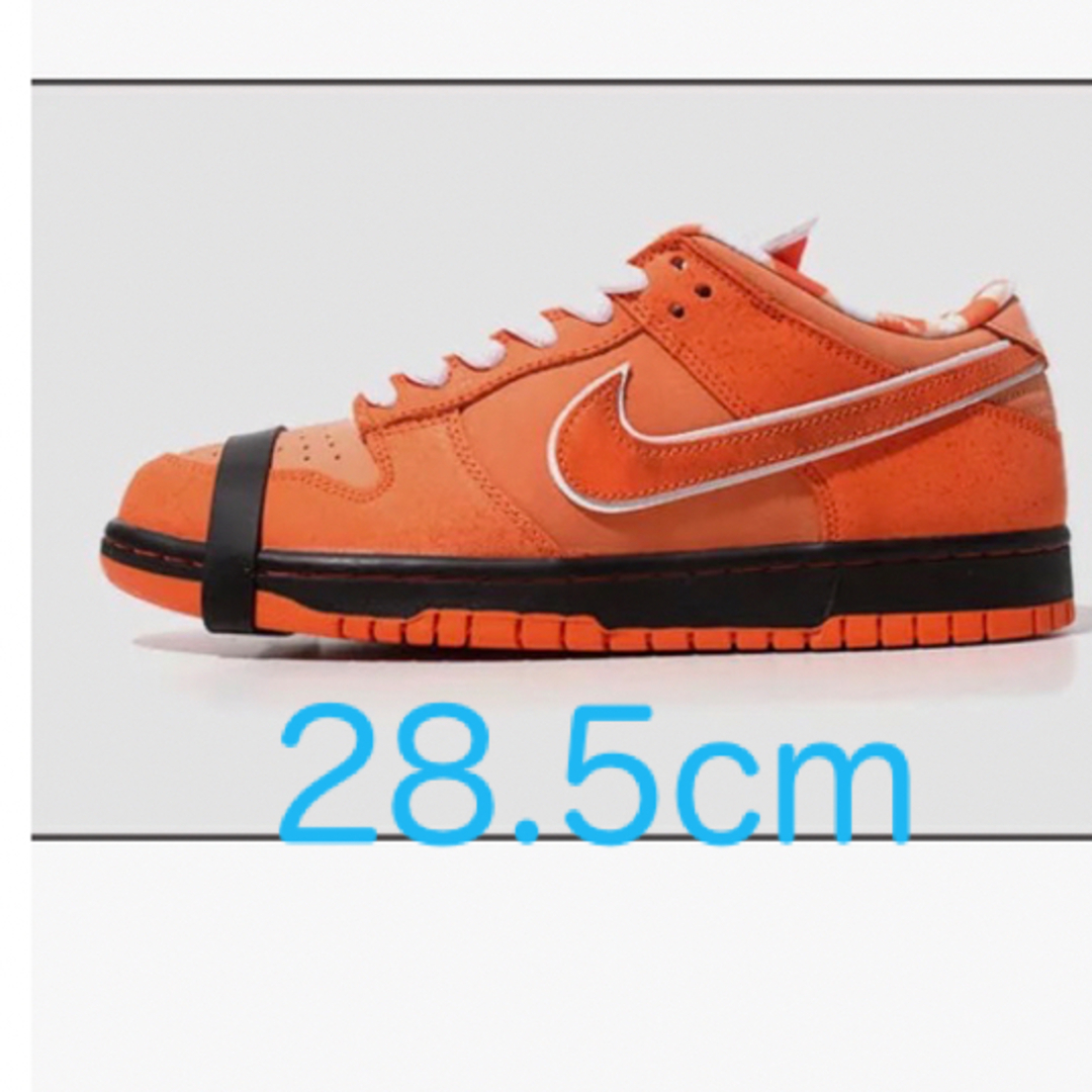 Concepts×Nike SB Dunk Low Orange Lobster