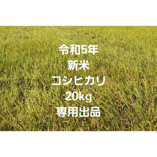 令和5年 新米 コシヒカリ 20kg 玄米(米/穀物)