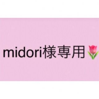 midori様専用です(その他)