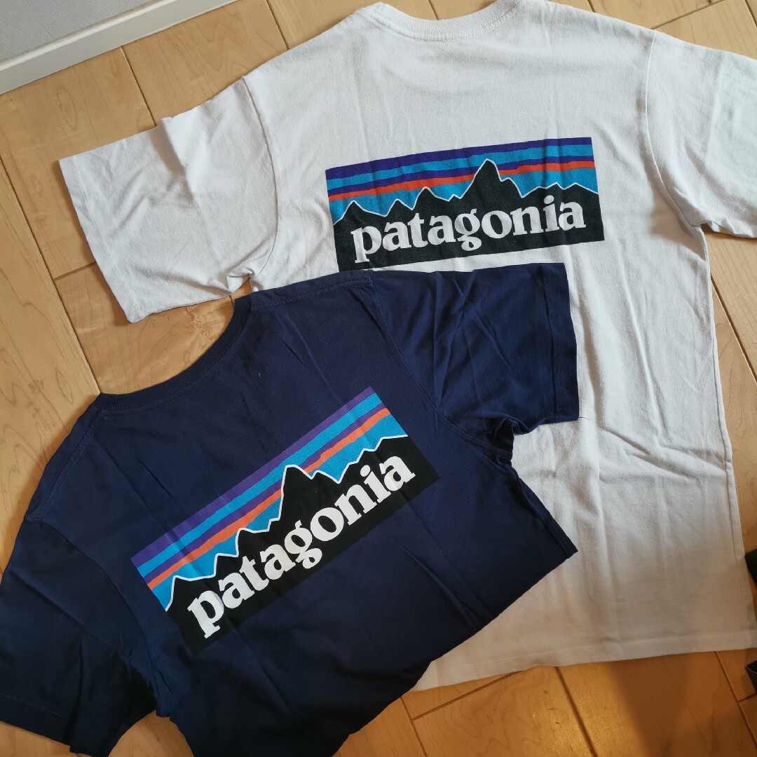 patagonia - patagoniaパタゴニア レスポンシビリティーメンズセットの