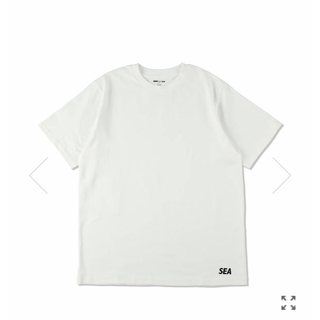 【良デザイン】WIND AND SEA 袖配色 両面ロゴ サーフ XL Tシャツ